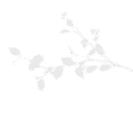 leaf01